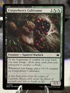 Corpseberry Cultivator - Bloomburrow - Common - 210 - Picture 1 of 2
