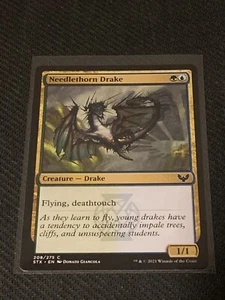 Magic the Gathering Strixhaven Needlethorn Drake - Picture 1 of 2