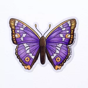 Pegatina Mariposa Emperador Púrpura - Vinilo Impermeable - Imagen 1 de 2