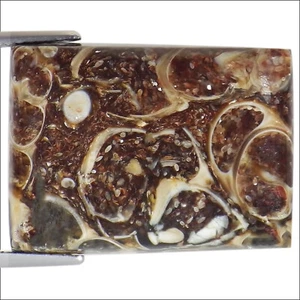 22.00 Ct Natural Turtella Jasper Gemstone Multi Color Rectangular Cut - Picture 1 of 2