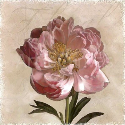 SET PEONÍA I (24x24) y PEONÍA II (24x24) de JANEL PAHL 2 PIEZAS LIENZO FLORES ROSAS Foto 1 de 4