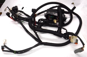 OEM 2007 07 SKIDOO EXPEDITION TUV V800 CABLEADO PRINCIPAL ARNÉS CAJA DE FUSIBLES M64-76 - Imagen 1 de 12