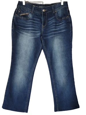 Amethyst Size 13 Distressed Womens Jeans Low Rise Denim EUC - Image 1 of 4