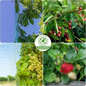 32FT Anti Bird Netting Pond Net Protection Tree Crops Plants Fruits Garden Mesh - Picture 1 of 4