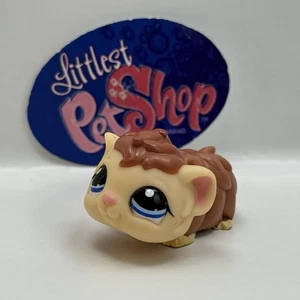 GUINEA PIG #1668 - Authentic Littlest Pet Shop - Hasbro LPS - Picture 1 of 4