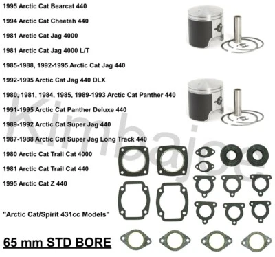 Kits de pistón Arctic Cat 431 440 Cheetah Trail Cat Jag y listados de 65 mm de diámetro reconstruido Foto 1 de 2
