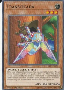 YUGIOH CARD 3 X TRANSCICADA IGAS-EN030 1ST EDITION - Picture 1 of 1