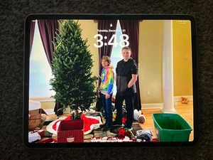 Apple iPad Pro 12.9-inch (3rd Gen) 512GB Gray Perfect Ex cond W/Pencil & case - Picture 1 of 14
