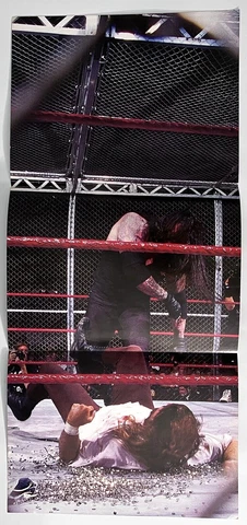WWE UNDERTAKER MANKIND 10.5 x 23.75 double sided Wrestling Poster HELL IN A CELL Cover