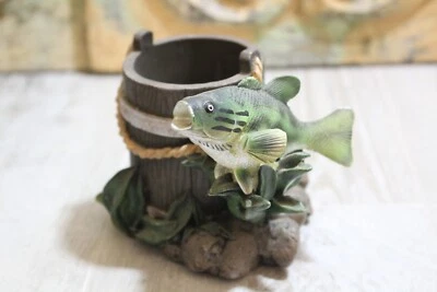 pequeño pez y cubo maceta suculentas 3 pulgadas de alto Foto 1 de 4