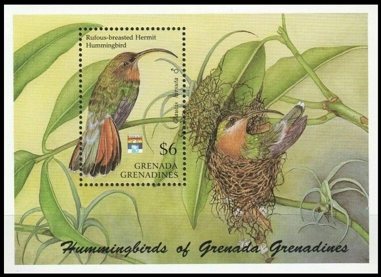 Grenada Grenadines 1992 MNH MS, Rufous Breasted Hermit Hummingbird, Birds - Image 1 of 1