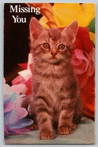 MISSING YOU KITTEN CAT North Shore Animal League WASHINGTON NY VTG Postcard A35 - Picture 1 of 2