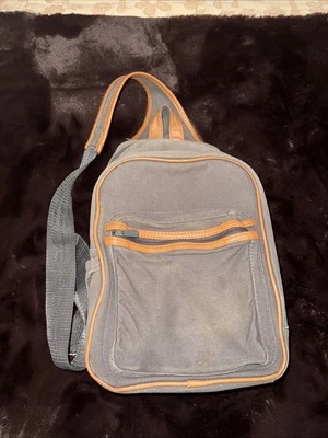 Bolso bandolera refrigerador aislado Thirty One lona gris descolorido Foto 1 de 4