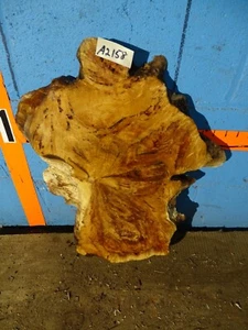 A2158 1 1/8" GROSOR línea negra arce hendido burl borde vivo secado al horno - Imagen 1 de 2