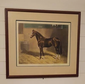 Alfred Charles Havell's 1908 Horse "Gallinule" HC Etching Restrike (framed) - Foto 1 di 16