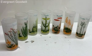 Anchor Hocking Set Of Glasses Botanical - Picture 1 of 5