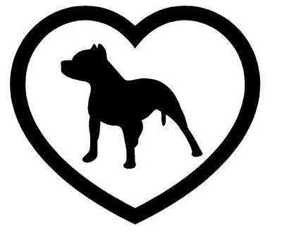 CALCOMANÍA DE VINILO CORAZÓN PITBULL PEGATINA PERRO RAZA CACHORRO ELEGIR COLOR Foto 1 de 3