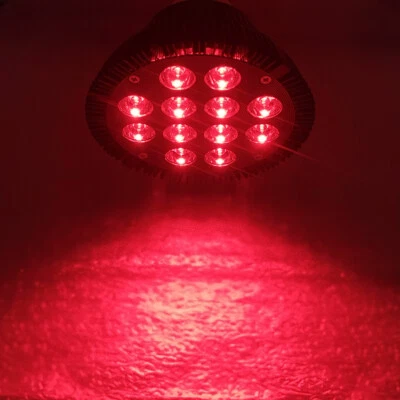 12W / 24W 660nm PAR38 Deep Red LED Lamp Spot Light Bulb Therapy Plant black - Image 1 of 4