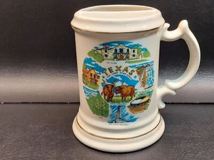 Taza de cerámica con soporte para cepillo de dientes del estado de Texas Lonestar de colección taza Stein - Imagen 1 de 5