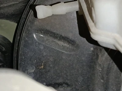 SERVO FREIN / 2594949 POUR CITROËN C4 III BA_, BB_, BC_ 1.2 PURETECH 130 BAHN - Photo 1/4