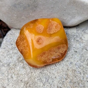 Piedra suelta ámbar báltico yema de huevo antigua pepita pulida 12,4 gr. - Imagen 1 de 6