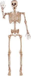 JOYIN 5.6 FT Halloween Posable Life Size Skeleton Full Body Realistic Bones. - Picture 1 of 6