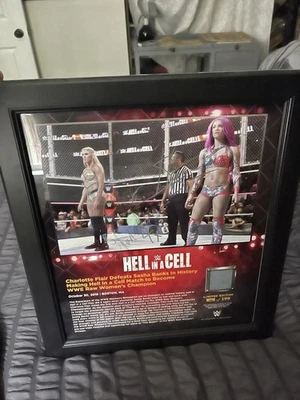 Placa Hell In A Cell firmada por Sasha Banks Charlotte Flair prueba WWE 44/199 Foto 1 de 4