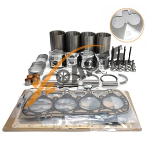 3024T C2.2T Overhaul Rebuild Kit For Caterpillar SKid Steer 216B 226B 232B 242B - Imagen 1 de 6