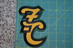 New Hampshire FisherCats Throwback MiLB Minor League 4.5" Baseball Jersey Patch - Picture 1 of 1