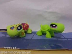 Littlest Pet Shop Set of Turtle Friends Postcard Turtle and Blind Bag Turtle - Picture 1 of 1