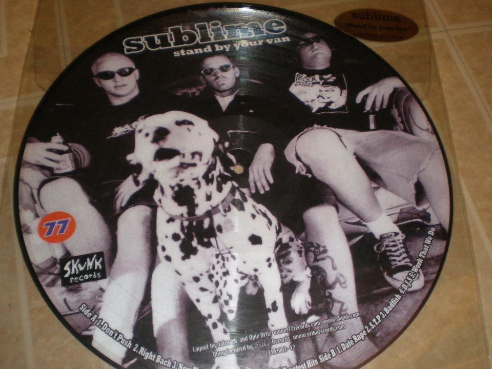 Sublime PICTURE DISC Stand By Your Van LIMITED - Image 1 of 1