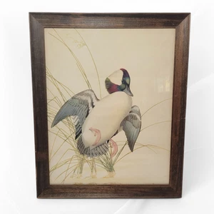 Vintage 1943 Büffelkopf Ente Lithographie Druck gerahmt USA signiert Athos Menaboni - Bild 1 von 7