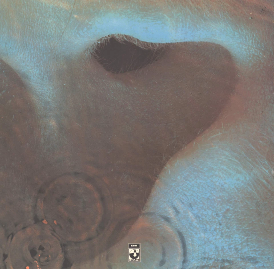 Pink Floyd - Meddle - Vinyl LP 1971 (VG+/VG) 1st GER Wallet gatefold laminated - Bild 1 von 1