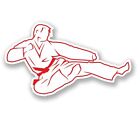 2 x Karate Red Belt Vinyl Sticker Laptop Travel Luggage #4181 