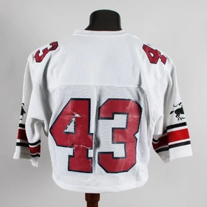 Gary Anderson Game-Worn Jersey #43 USFL Tampa Bay Bandits 1983 COA 100% Authe... - Picture 1 of 12