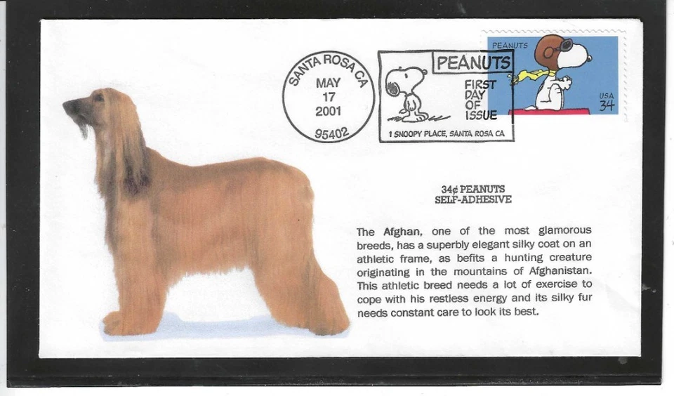 PEANUTS COMIC FDC 2001 SANTA ROSA, CALIFORNIA UNKNOWN CACHET - Image 1 of 1