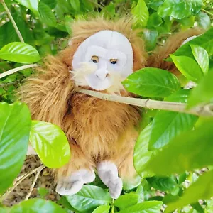 Juguete de peluche Ganz Webkinz orangután HM417 SIN CÓDIGO - Imagen 1 de 9