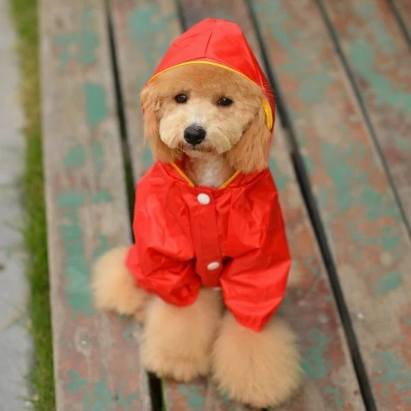 Abrigo de lluvia para perros cálido reversible impermeable mascota manta chaqueta mejor opción Foto 1 de 1