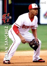 2016 Harrisburg Senators Grandstand 23 Adrian Sanchez Venezuela VZ Baseball Card