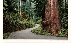 Driveway In Stanley Park, Vancouver, B.C. Detroit Photographic Postcard #6439 - Picture 1 of 2