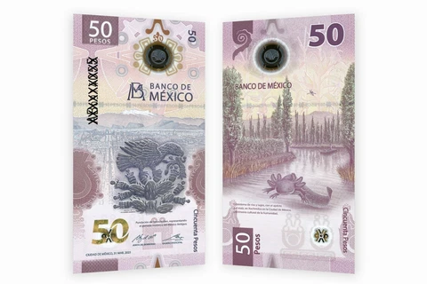 50 PESO BILL MEXICO UNC  BILLETE DE 50 PESOS PREFIX AB - 2021 AXOLOTL Cover