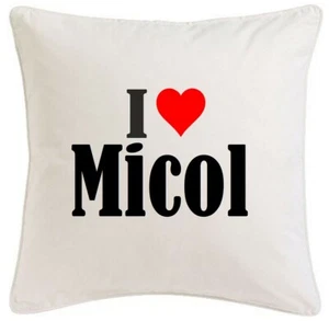 FUNDA DE ALMOHADA I LOVE MICOL 40CMX40CM DE MICROFIBRA - Imagen 1 de 1