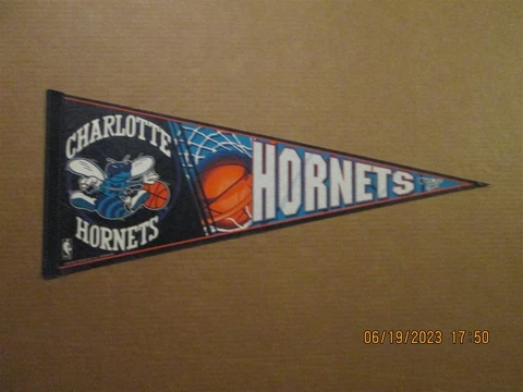 NBA Charlotte Hornets Vintage 1990's Edition #6 Team Logo Basketball Pennant Cover