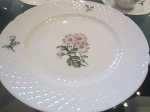 2 BING GRONDAHL B&G Porcelain DINNER PLATES 9½" H'Paint PINK Flowers Denmark EC - Picture 1 of 11