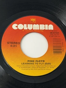 PINK FLOYD-LEARNING TO FLY/TERMINAL FROST 1987 COLUMBIA RECORDS EX - Picture 1 of 2