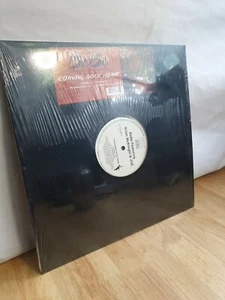 Babe feat Brian McKnight And Joe Coming Back Home 12 Inch Vinyl Record  - Imagen 1 de 3