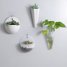 Flower Pots Plant Vase Nordic Pots Transparent Wall-hanging Levitating