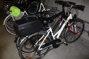 Damen Fahrrad Pegasus - Bild 1 von 1