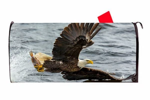 Eagle Vinyl Magnetic Mailbox Cover Made in the USA - Picture 1 of 1
