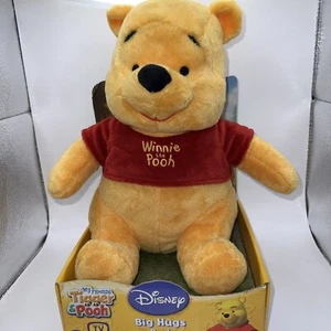 1990s' Disney Winnie The Pooh Big Hugs Pooh 10" Plush New In Box HTF - Picture 1 of 17
